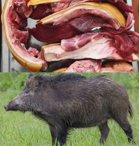 MUA THỊT HEO RỪNG LAI MIỀN TÂY TẠI TP.HCM