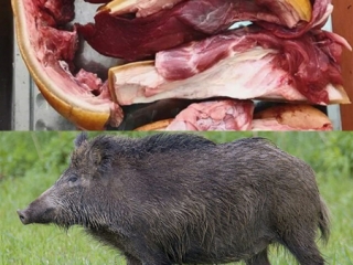 MUA THỊT HEO RỪNG LAI MIỀN TÂY TẠI TP.HCM